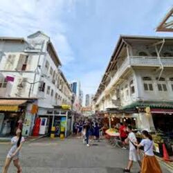 Sago Street (D1), Shop House #546681471